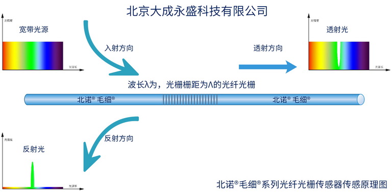 北諾?毛細(xì)?系列無(wú)縫鋼管 光纖光柵傳感器原理示意圖